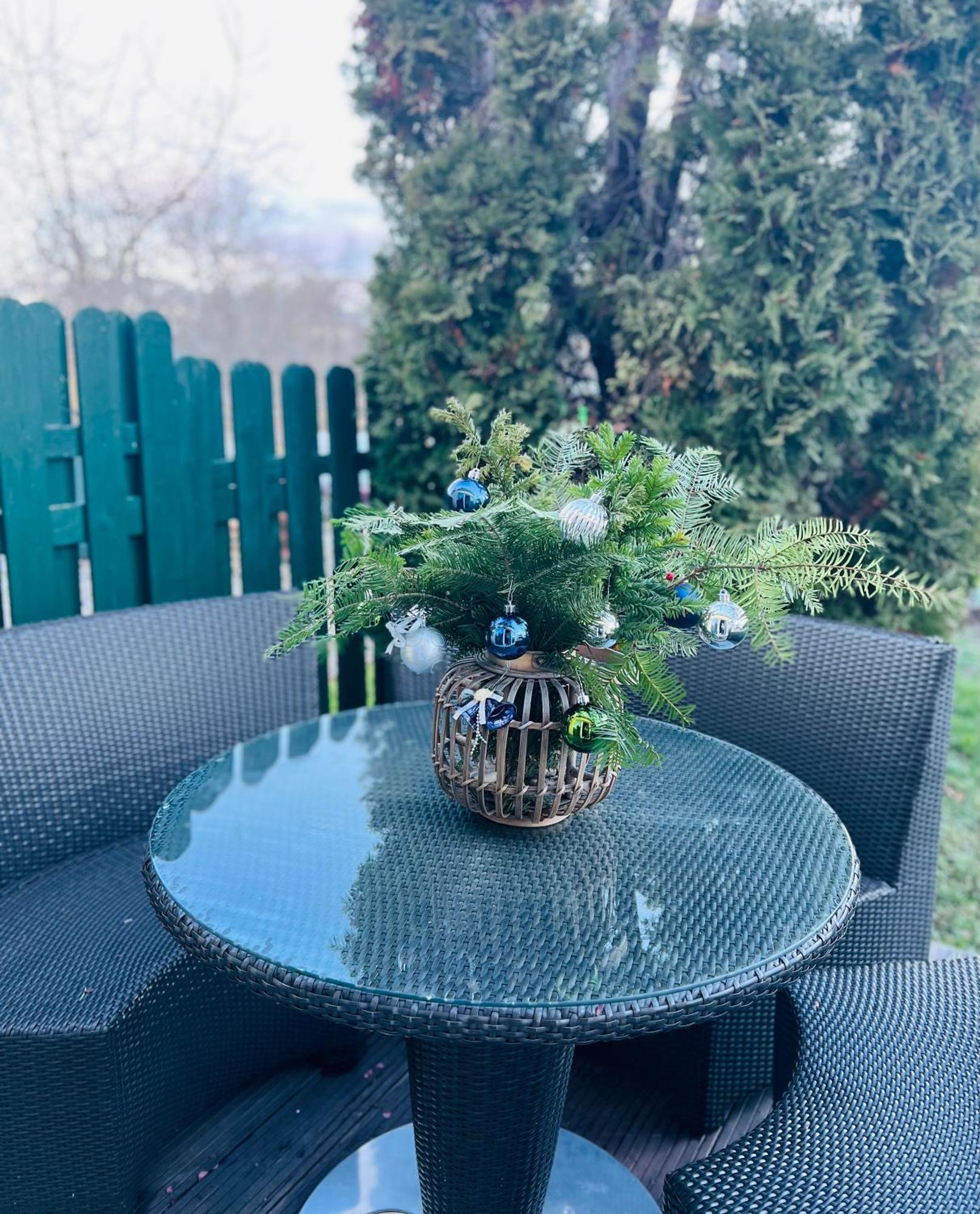 & Terrace